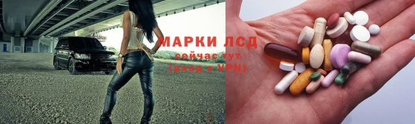 гидра Алексин