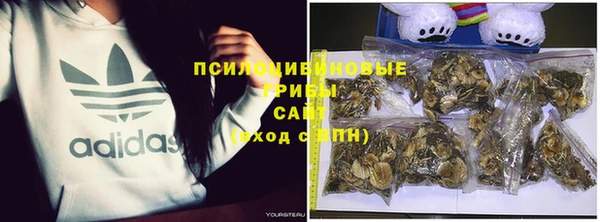 гидра Алексин